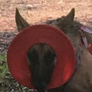 Meet your Posher, Season 8 was really bad